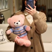 Teddy Bear Plush Toy - Sweater-Wearing Bear Doll, Perfect Claw Machine Prize & Birthday Gift for Girlfriends - Image 2